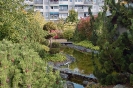 Leinefelde-Japanischer Garten